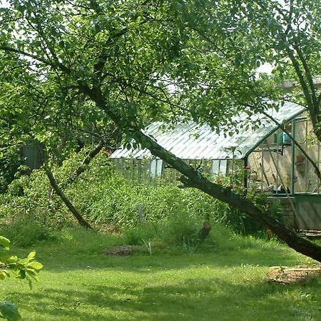 Chambres D'Hotes Le Pont Romain Montfort-le-Gesnois Exterior photo